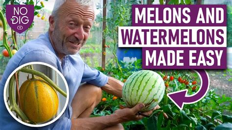 melonstubw|perfect melons Search